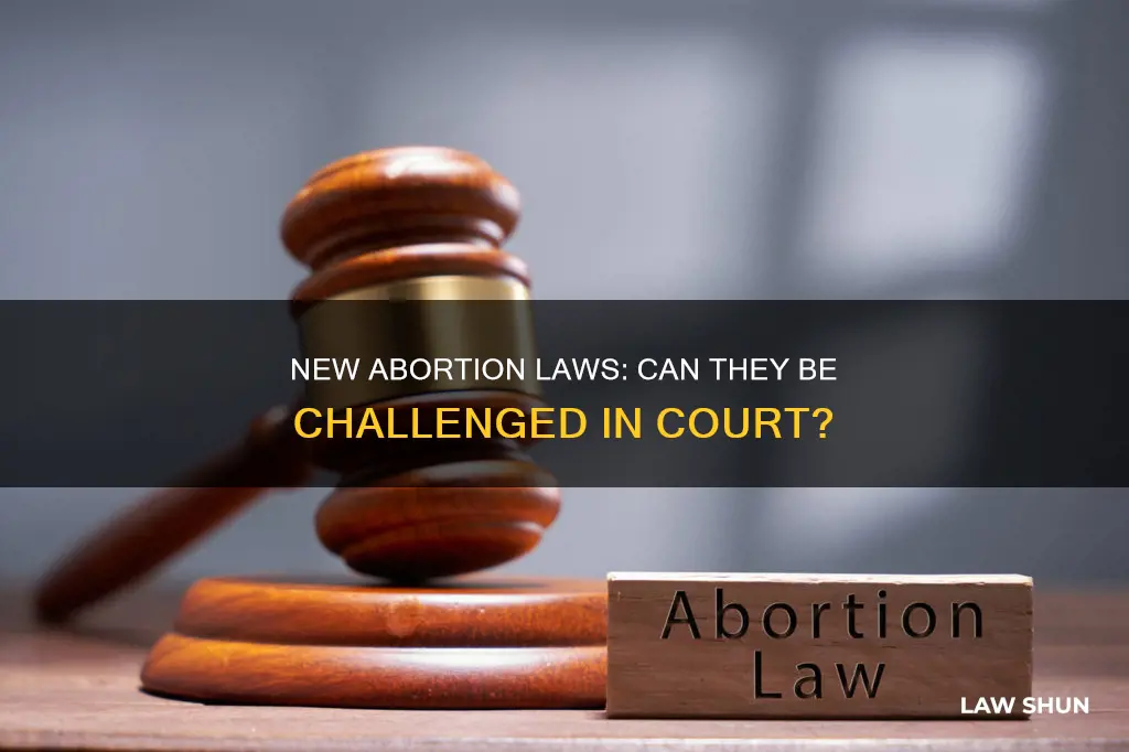 can new abortin law be sued in court