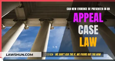 Appeal Strategies: New Evidence for Case Law