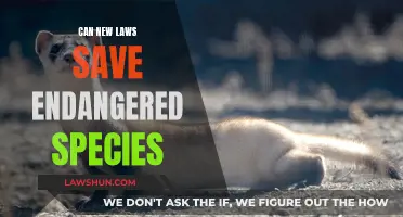 New Laws: Hope for Endangered Species?
