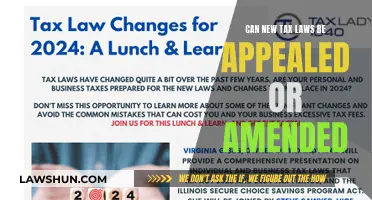 How to Challenge Tax Laws: Appeals and Amendments