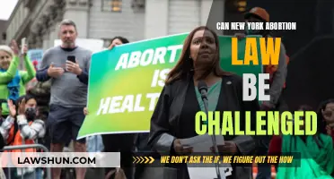 Abortion Rights: Can New York's Law Be Challenged?