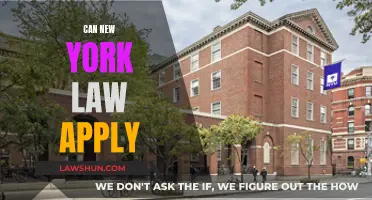 How New York Law Applies to You