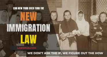 New York's Immigration Laws: Overturning the Verdict?