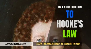 Newton's Force and Hooke's Law: What's the Connection?