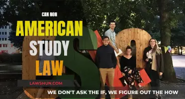 Study Law in the US as a Foreigner