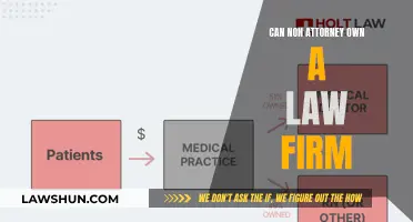 Non-Attorney Law Firm Ownership: Is It Legal?
