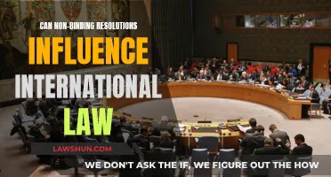 Non-binding Resolutions: Shaping or Influencing International Law?
