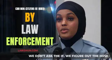 Hiring Non-Citizens in Law Enforcement: Exploring the Possibility