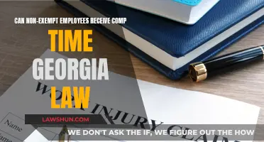 Georgia Law: Comp Time for Non-Exempt Employees?