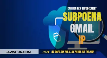 Subpoenaing Gmail IPs: Who Can Access Your Data?