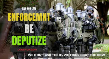 Deputizing Non-Law Enforcement: When and How?