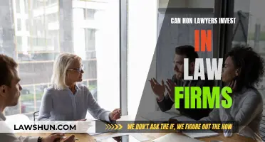 Law Firm Investment: Can Non-Lawyers Take the Risk?