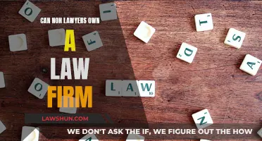 Non-Lawyers Owning Law Firms: Is It Possible?