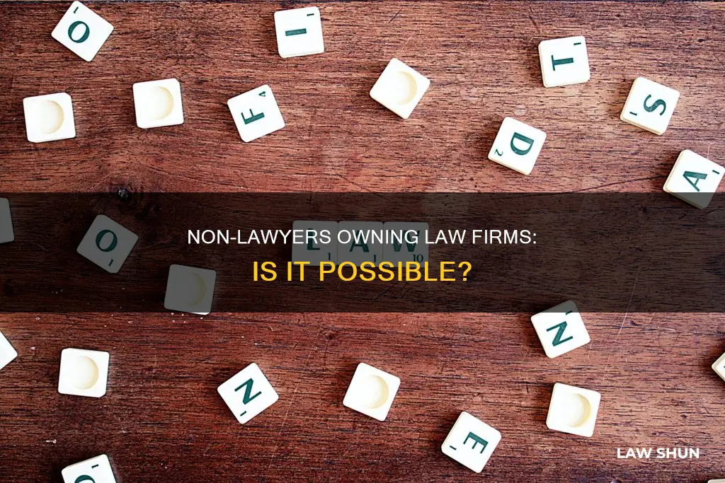 can non lawyers own a law firm