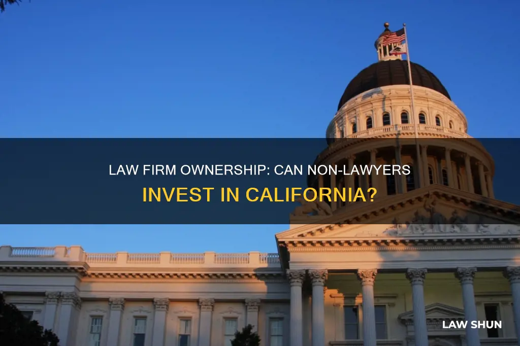 can non lawyers own law firms in california