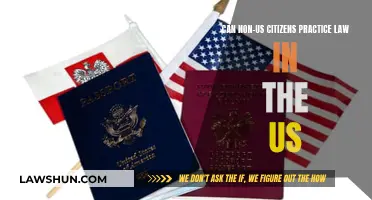 Practice Law in the US as a Non-Citizen