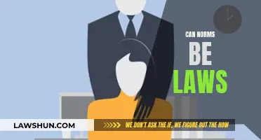 Norms vs Laws: The Fine Line