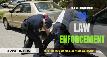 Civil Disobedience: Resisting Authority, Defining Freedom