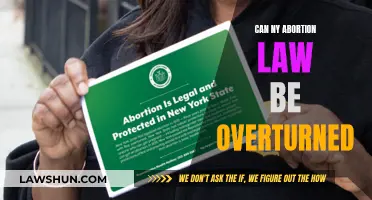 Abortion Laws: Can New York's Be Overturned?