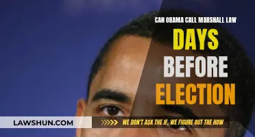 Obama's Pre-Election Martial Law: Legality and Implications