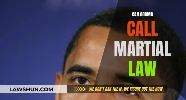 Martial Law: Obama's Potential Move?