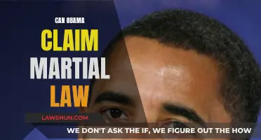 Martial Law: Obama's Authority?