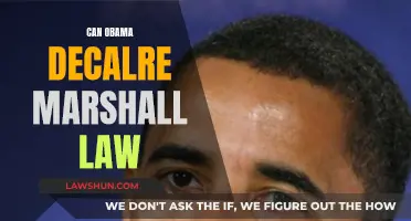 Obama Declaring Martial Law: A Possibility?
