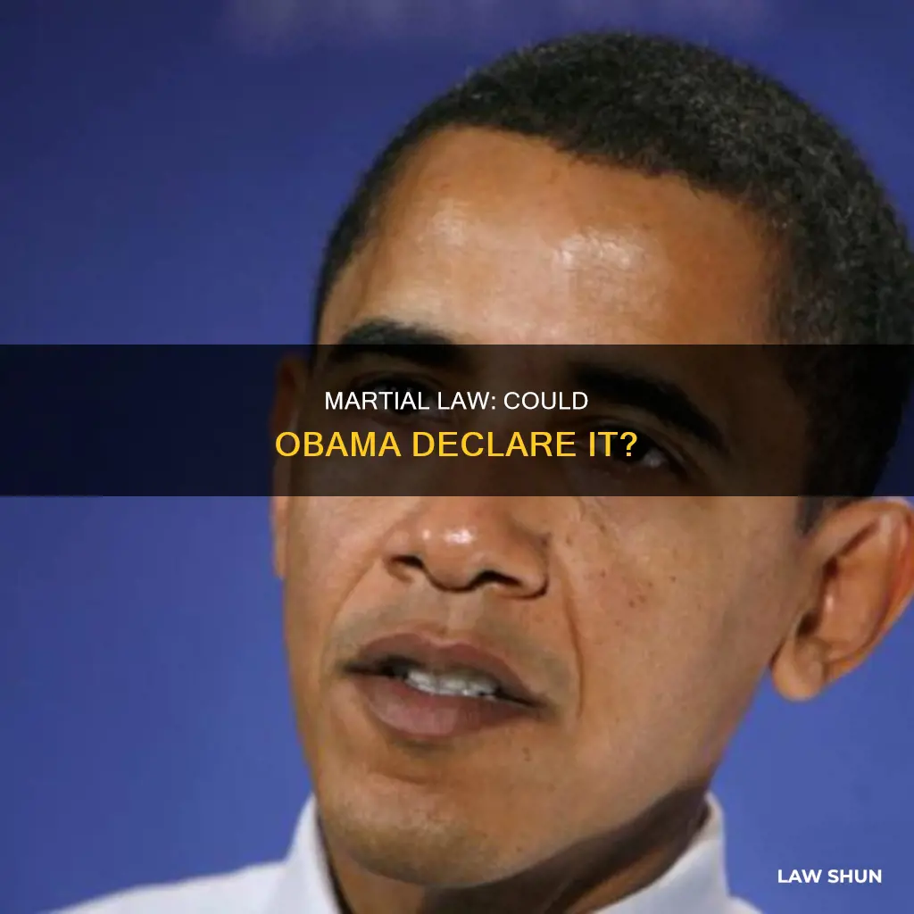 can obama declare martial law with the riots going on