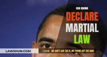 Martial Law: Could Obama Ever Declare It?