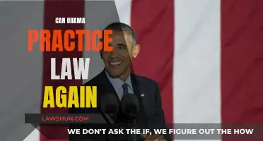 Obama's Law Career: A Return?