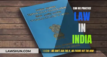 OCI Lawyers in India: Practicing Law Possibility