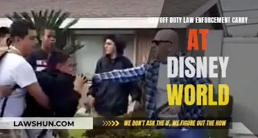 Law Enforcement Carrying Weapons at Disney: What's Allowed?