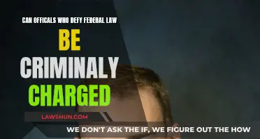 Defying Federal Law: Criminal Charges for Officials?
