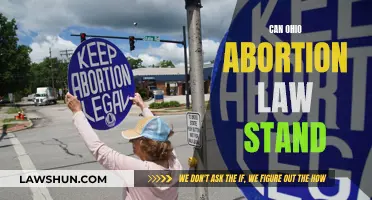 Ohio's Abortion Law: Will It Stand the Test?