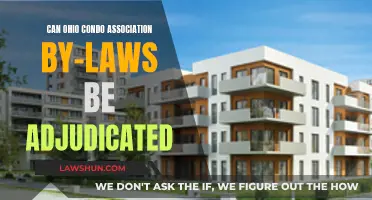 Ohio Condo Association By-Laws: Adjudication and You