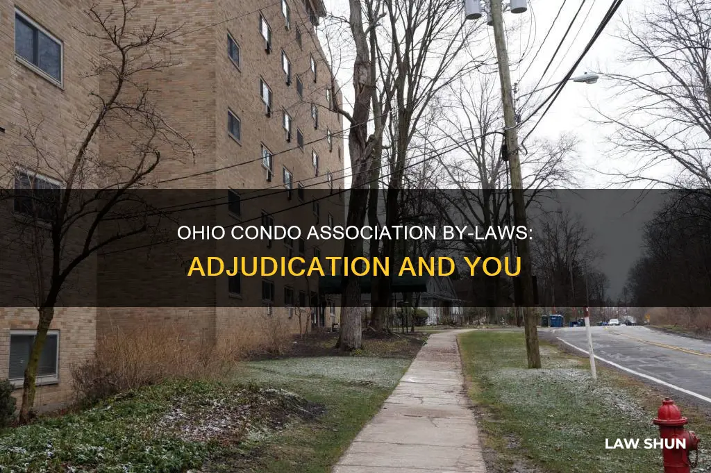 can ohio condo association by-laws be adjudicated