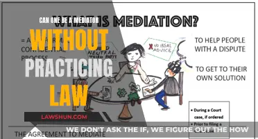 Mediator Without a Law Degree: Is It Possible?