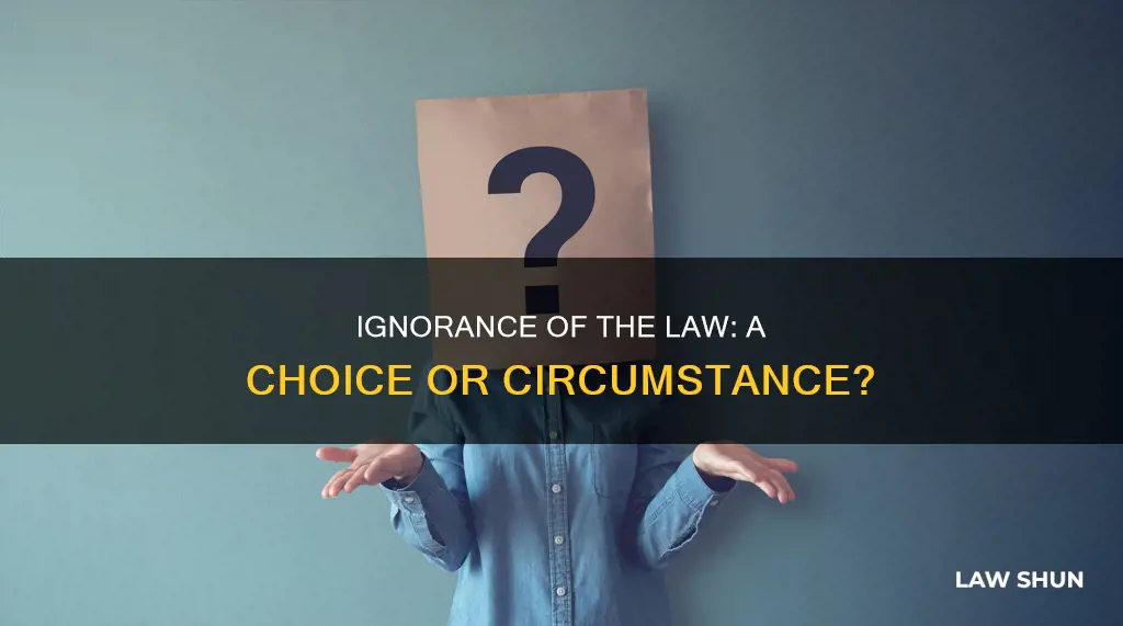 can one be willfully ignorant of the law