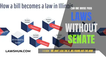 How a House Can Pass Laws Without the Senate