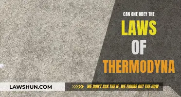 Thermodynamics Laws: Unyielding Rules or Flexible Guidelines?
