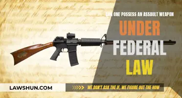 Assault Weapons: Federal Law and Possession Rights