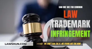 Trademark Infringement: Can You Sue for Common Law Breaches?