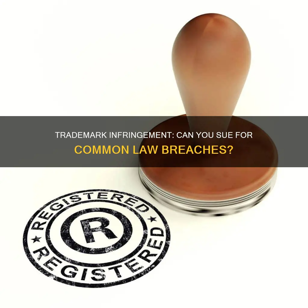 can one sue for common law trademark infringement