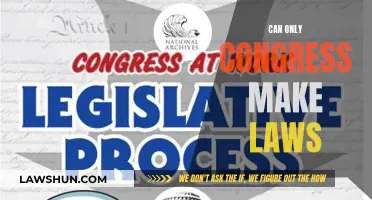 Who Has the Power to Make Laws?
