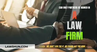 Partners in Law Firms: Who Can Be Named?