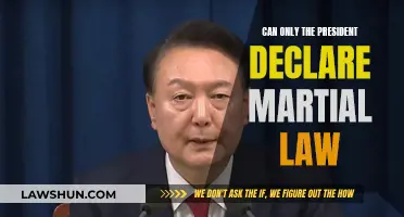 Who Can Declare Martial Law? Presidential Powers Explained