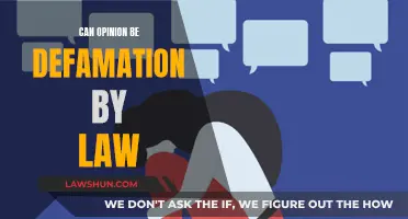 Opinions, Defamation, and the Law: When Words Become Actions
