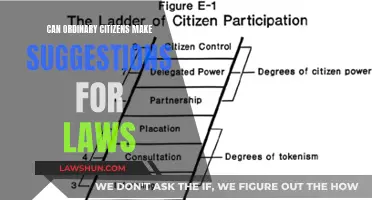 Ordinary Citizens, Lawmakers: Suggesting and Changing Laws