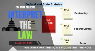 Who Can Interpret the Law? Exploring Judicial Power
