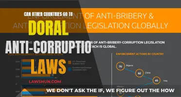 How Doral Anti-Corruption Laws Apply to Other Countries